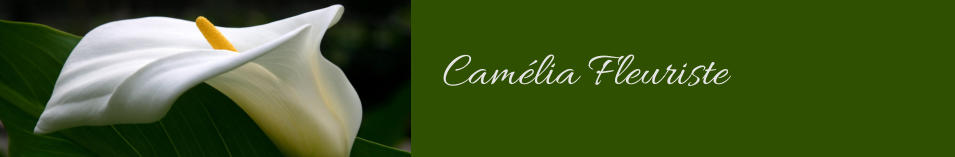 Camélia Fleuriste