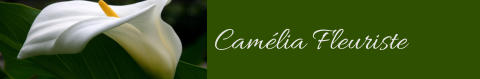 Camélia Fleuriste